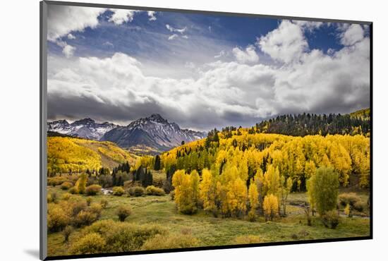 Autumn aspen trees and Sneffels Range, Mount Sneffels Wilderness, Colorado-Adam Jones-Mounted Photographic Print