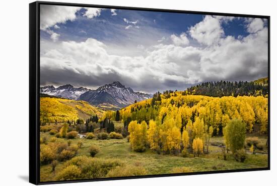 Autumn aspen trees and Sneffels Range, Mount Sneffels Wilderness, Colorado-Adam Jones-Framed Stretched Canvas