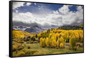 Autumn aspen trees and Sneffels Range, Mount Sneffels Wilderness, Colorado-Adam Jones-Framed Stretched Canvas