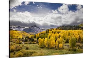 Autumn aspen trees and Sneffels Range, Mount Sneffels Wilderness, Colorado-Adam Jones-Stretched Canvas