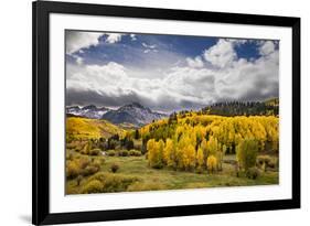 Autumn aspen trees and Sneffels Range, Mount Sneffels Wilderness, Colorado-Adam Jones-Framed Photographic Print