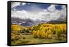 Autumn aspen trees and Sneffels Range, Mount Sneffels Wilderness, Colorado-Adam Jones-Framed Stretched Canvas