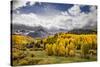 Autumn aspen trees and Sneffels Range, Mount Sneffels Wilderness, Colorado-Adam Jones-Stretched Canvas