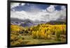 Autumn aspen trees and Sneffels Range, Mount Sneffels Wilderness, Colorado-Adam Jones-Framed Photographic Print