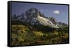 Autumn, aspen trees and Sneffels Range, Uncompahgre National Forest, Colorado-Adam Jones-Framed Stretched Canvas