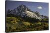 Autumn, aspen trees and Sneffels Range, Uncompahgre National Forest, Colorado-Adam Jones-Stretched Canvas