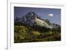 Autumn, aspen trees and Sneffels Range, Uncompahgre National Forest, Colorado-Adam Jones-Framed Photographic Print