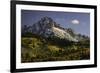 Autumn, aspen trees and Sneffels Range, Uncompahgre National Forest, Colorado-Adam Jones-Framed Photographic Print