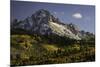 Autumn, aspen trees and Sneffels Range, Uncompahgre National Forest, Colorado-Adam Jones-Mounted Photographic Print