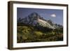 Autumn, aspen trees and Sneffels Range, Uncompahgre National Forest, Colorado-Adam Jones-Framed Photographic Print