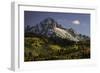 Autumn, aspen trees and Sneffels Range, Uncompahgre National Forest, Colorado-Adam Jones-Framed Photographic Print