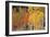 Autumn Aspen Trees-David Nunuk-Framed Photographic Print