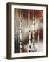 Autumn Aspen-Rikki Drotar-Framed Giclee Print