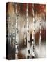 Autumn Aspen-Rikki Drotar-Stretched Canvas