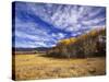 Autumn Aspens and Old Barn, Big Snowy Mountains, Judith Gap, Montana, USA-Chuck Haney-Stretched Canvas