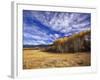 Autumn Aspens and Old Barn, Big Snowy Mountains, Judith Gap, Montana, USA-Chuck Haney-Framed Photographic Print