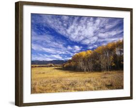 Autumn Aspens and Old Barn, Big Snowy Mountains, Judith Gap, Montana, USA-Chuck Haney-Framed Photographic Print