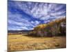 Autumn Aspens and Old Barn, Big Snowy Mountains, Judith Gap, Montana, USA-Chuck Haney-Mounted Photographic Print
