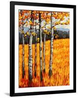 Autumn Aspens at Winter Park, Colorado-Patty Baker-Framed Art Print