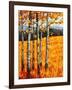 Autumn Aspens at Winter Park, Colorado-Patty Baker-Framed Art Print