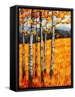 Autumn Aspens at Winter Park, Colorado-Patty Baker-Framed Stretched Canvas