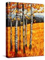 Autumn Aspens at Winter Park, Colorado-Patty Baker-Stretched Canvas