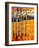 Autumn Aspens at Winter Park, Colorado-Patty Baker-Framed Art Print