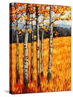 Autumn Aspens at Winter Park, Colorado-Patty Baker-Stretched Canvas