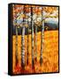 Autumn Aspens at Winter Park, Colorado-Patty Baker-Framed Stretched Canvas