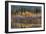 Autumn Aspens Reflect into the Pend Oreille River, Washington-Chuck Haney-Framed Photographic Print