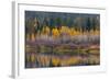 Autumn Aspens Reflect into the Pend Oreille River, Washington-Chuck Haney-Framed Photographic Print