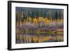 Autumn Aspens Reflect into the Pend Oreille River, Washington-Chuck Haney-Framed Photographic Print