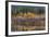 Autumn Aspens Reflect into the Pend Oreille River, Washington-Chuck Haney-Framed Photographic Print