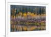 Autumn Aspens Reflect into the Pend Oreille River, Washington-Chuck Haney-Framed Photographic Print