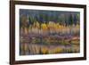 Autumn Aspens Reflect into the Pend Oreille River, Washington-Chuck Haney-Framed Photographic Print