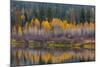 Autumn Aspens Reflect into the Pend Oreille River, Washington-Chuck Haney-Mounted Photographic Print