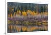 Autumn Aspens Reflect into the Pend Oreille River, Washington-Chuck Haney-Framed Photographic Print