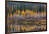 Autumn Aspens Reflect into the Pend Oreille River, Washington-Chuck Haney-Framed Photographic Print