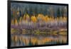 Autumn Aspens Reflect into the Pend Oreille River, Washington-Chuck Haney-Framed Photographic Print