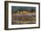 Autumn Aspens Reflect into the Pend Oreille River, Washington-Chuck Haney-Framed Photographic Print