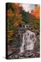 Autumn at Bastion Falls, New York-null-Stretched Canvas