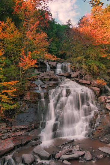 Premium Photographic Print, , large