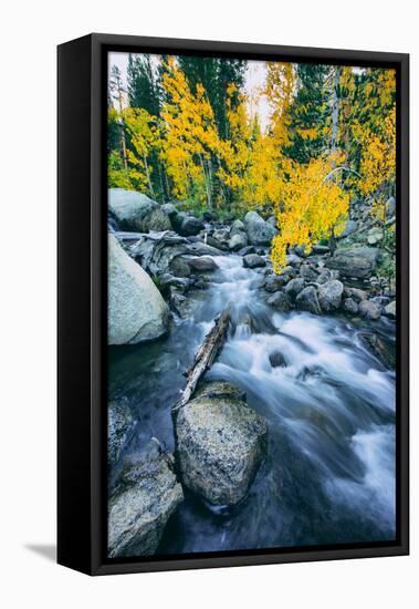 Autumn at Bishop Creek Canyon, Eastern Sierra Mountains, California-Vincent James-Framed Stretched Canvas