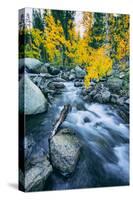Autumn at Bishop Creek Canyon, Eastern Sierra Mountains, California-Vincent James-Stretched Canvas