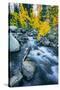 Autumn at Bishop Creek Canyon, Eastern Sierra Mountains, California-Vincent James-Stretched Canvas