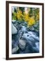 Autumn at Bishop Creek Canyon, Eastern Sierra Mountains, California-Vincent James-Framed Premium Photographic Print