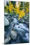 Autumn at Bishop Creek Canyon, Eastern Sierra Mountains, California-Vincent James-Mounted Premium Photographic Print