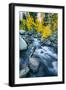 Autumn at Bishop Creek Canyon, Eastern Sierra Mountains, California-Vincent James-Framed Photographic Print