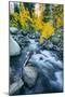 Autumn at Bishop Creek Canyon, Eastern Sierra Mountains, California-Vincent James-Mounted Photographic Print