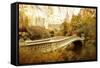 Autumn at Bow Bridge-Jessica Jenney-Framed Stretched Canvas